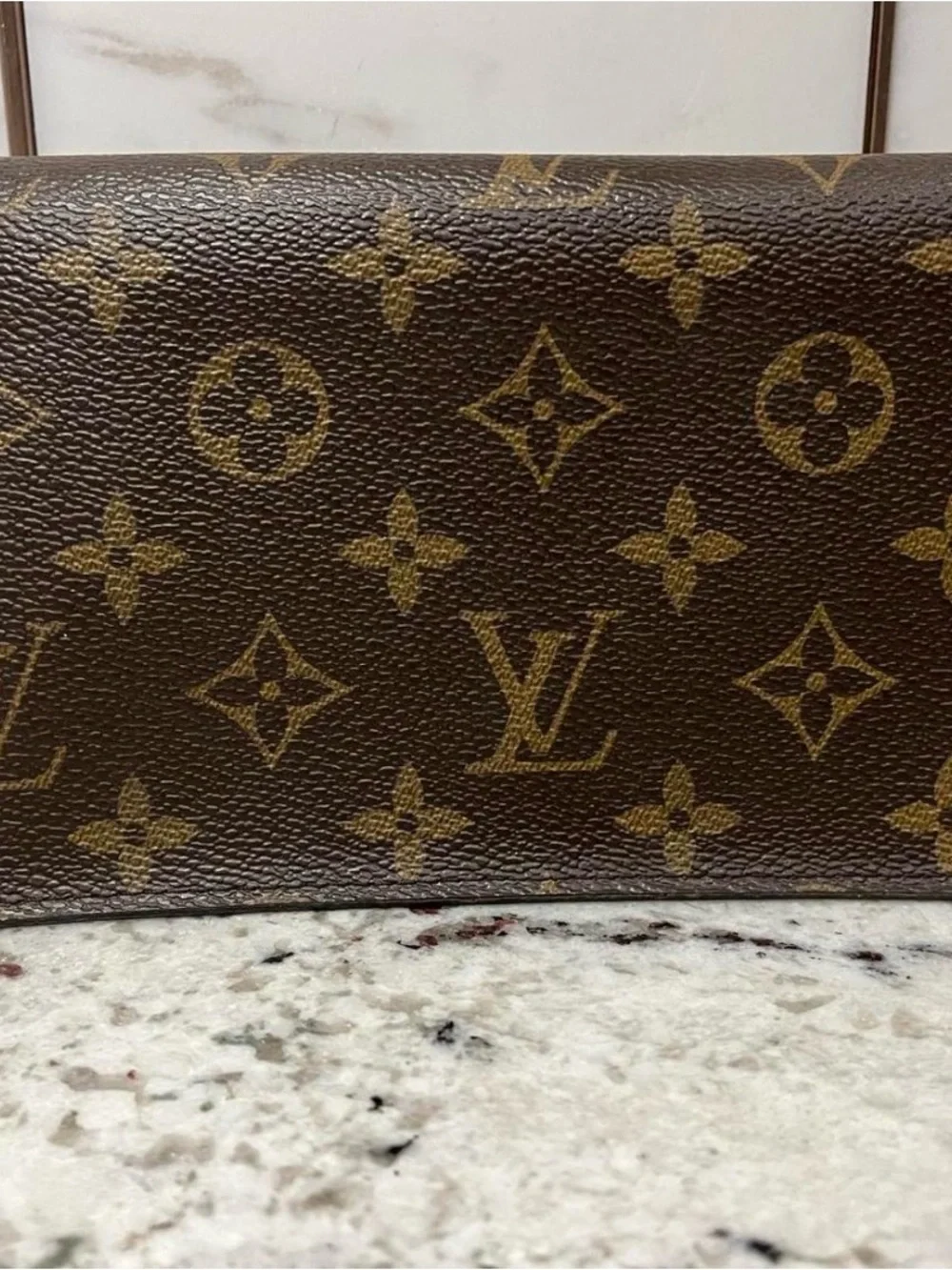 Louis Vuitton Monogram Canvas Zip Wristlet in Brown